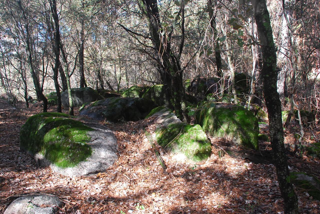 Sierra Trails Inn Mariposa Eksteriør billede